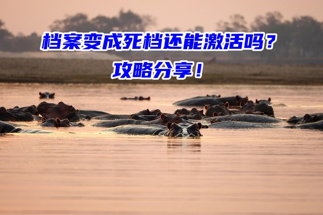 档案变成死档还能激活吗？攻略分享！