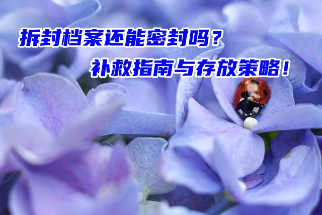 拆封档案还能密封吗？补救指南与存放策略！