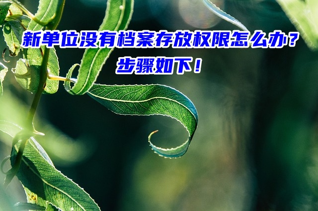 新单位没有档案存放权限怎么办？步骤如下！