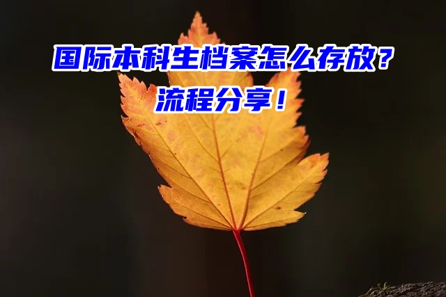 国际本科生档案怎么存放？流程分享！