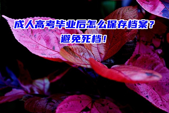成人高考毕业后怎么保存档案？避免死档！