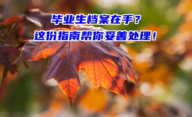 毕业生档案在手？这份指南帮你妥善处理！