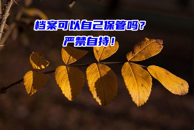 档案可以在自己手里保管吗？严禁自持！