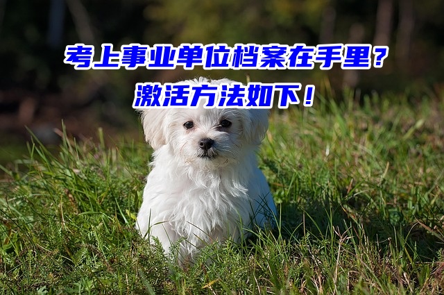 考上事业单位档案在手里？激活方法如下！