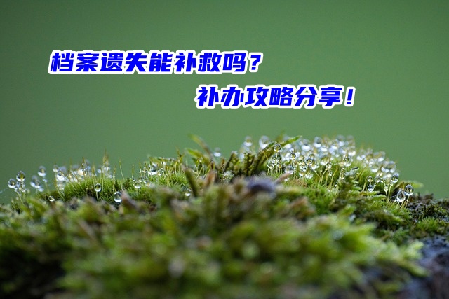 档案遗失能补救吗？补办攻略分享！