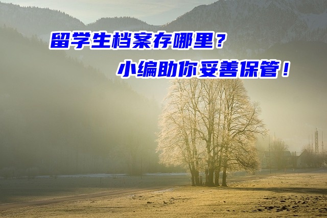 留学生档案存哪里？小编助你妥善保管！