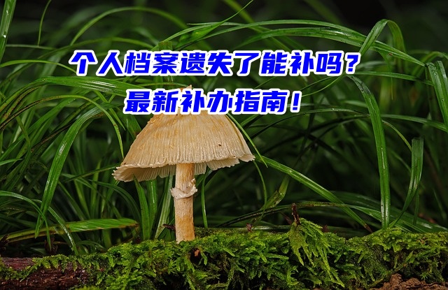 个人档案遗失了能补吗？最新补办指南！