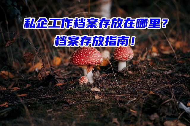 私企工作档案存放在哪里？档案存放指南！