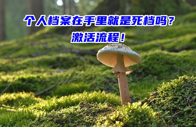 个人档案在手里就是死档吗？激活流程！