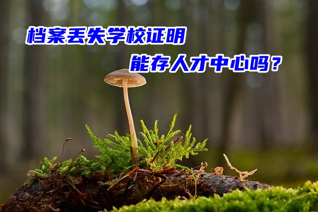 档案丢失学校证明能存人才中心吗？