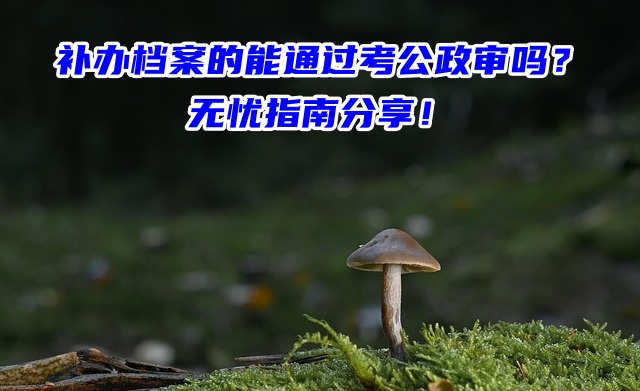 补办档案的能通过考公政审吗？无忧指南分享！