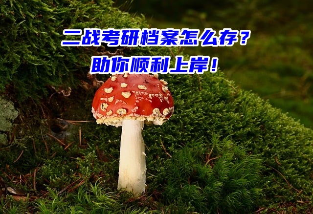 二战考研档案怎么存？助你顺利上岸！