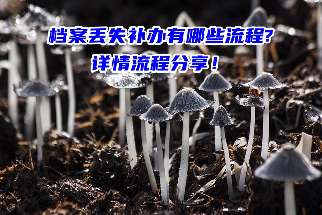 档案丢失补办有哪些流程?详情流程分享！