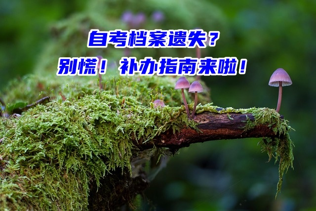 自考档案遗失？别慌！补办指南来啦！