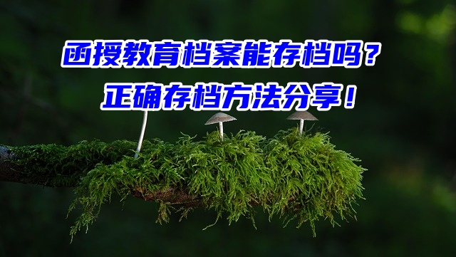 函授教育档案能存档吗？正确存档方法分享！