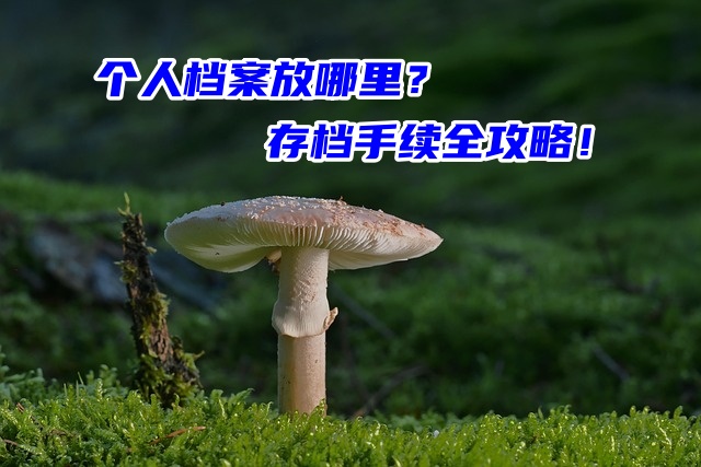 个人档案放哪里？存档手续全攻略！