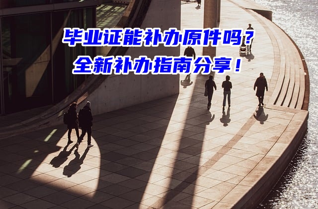 毕业证能补办原件吗？全新补办指南分享！