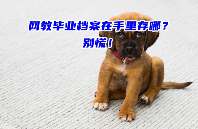 网教毕业档案在手里存哪？别慌！死档激活有方法！