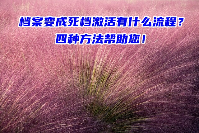 档案变成死档激活有什么流程？四种方法帮助您！