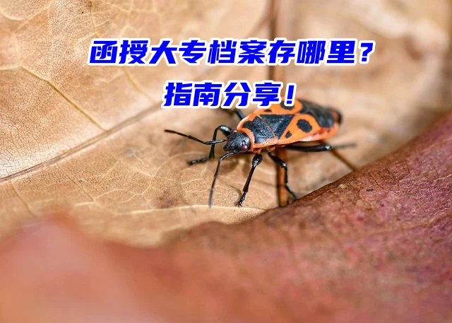 函授大专档案存哪里？档案存放流程分享！