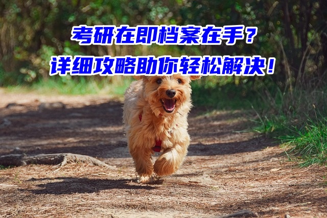 考研在即档案在手？详细攻略助你轻松解决！