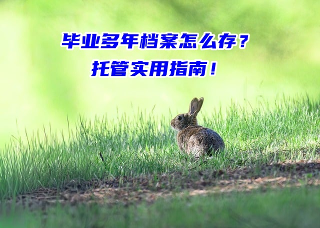 毕业多年档案怎么存？托管实用指南！