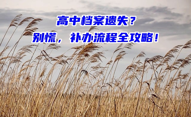 高中档案遗失？别慌，补办流程全攻略！