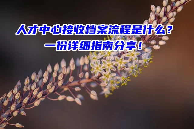 人才中心接收档案流程是什么？一份详细指南分享！