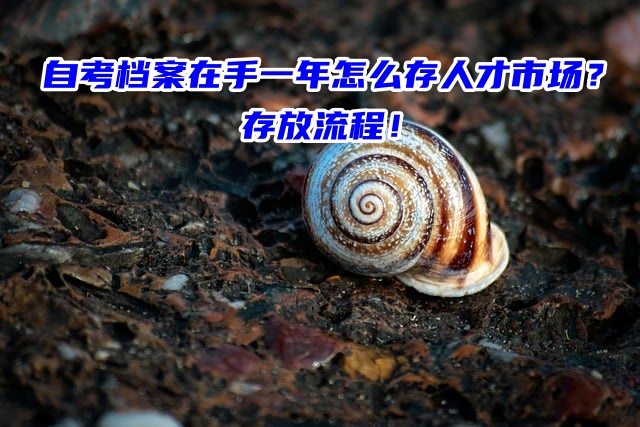 自考档案在手一年怎么存人才市场？存放流程！