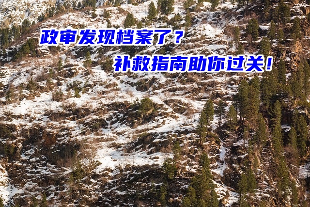 政审发现档案了？补救指南助你过关！