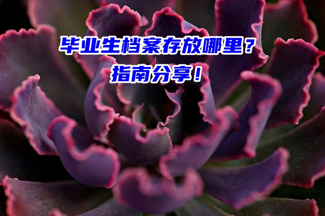 毕业生档案存放哪里最稳妥？指南分享！