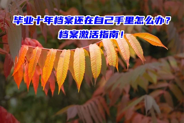 毕业十年档案还在自己手里怎么办？档案激活指南！