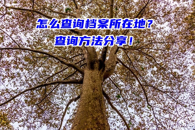 怎么查询档案所在地？查询方法分享！