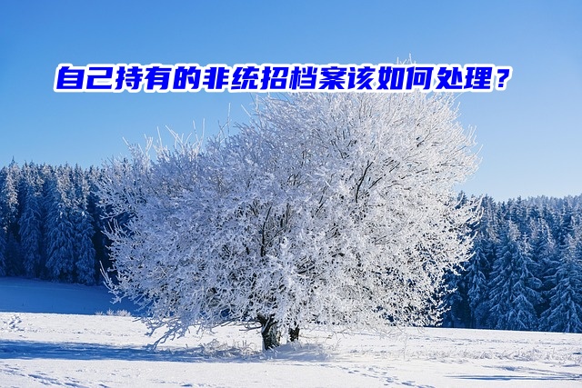 自己持有的非统招档案该如何处理？