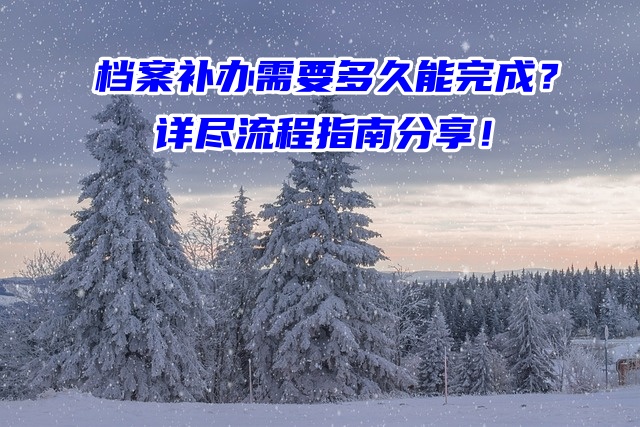 档案补办需要多久能完成？详尽流程指南分享！