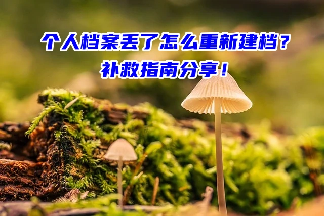 个人档案丢了怎么重新建档？补救指南分享！