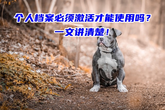 个人档案必须激活才能使用吗？一文讲清楚！