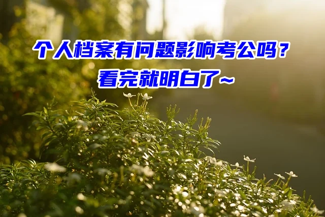 个人档案有问题影响考公吗？看完就明白了~